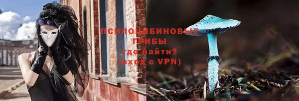 Альфа ПВП Алзамай
