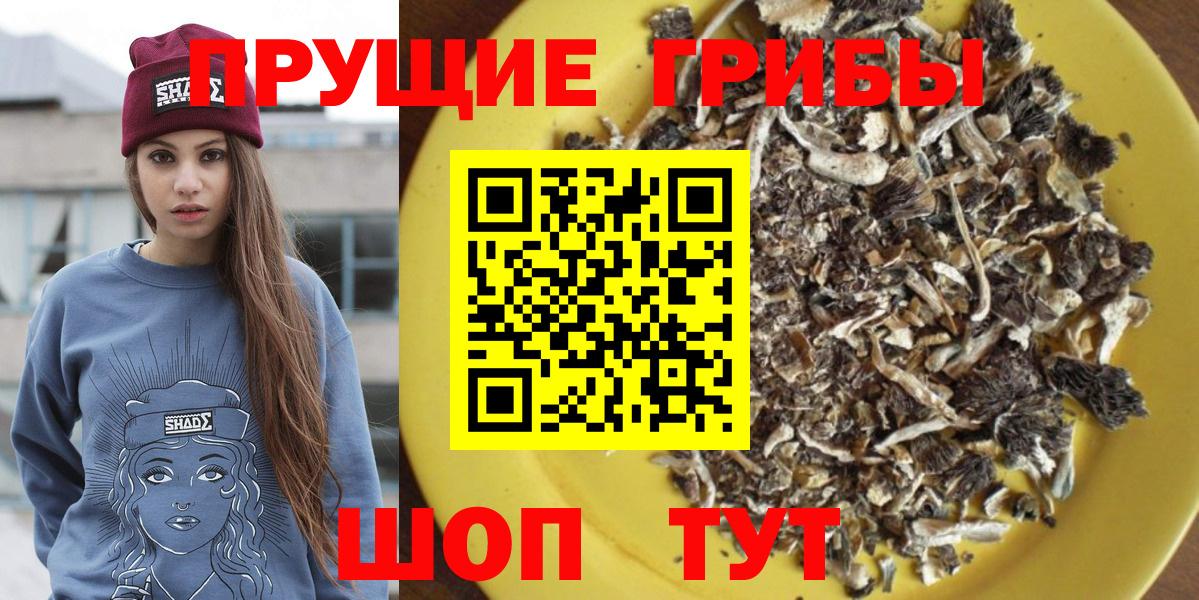 Ейск  Псилоцибиновые грибы мухоморы  Вход с VPN 